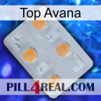 Top Avana 24